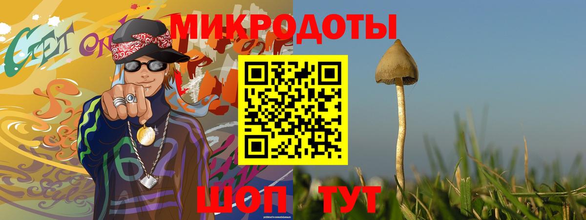 Галлюциногенные грибы Cubensis Ноябрьск